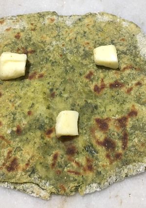 A picture of Palak-Cheese square paratha.