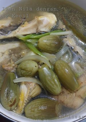 Foto resep Sup Ikan Nila dengan Terong Kecil
