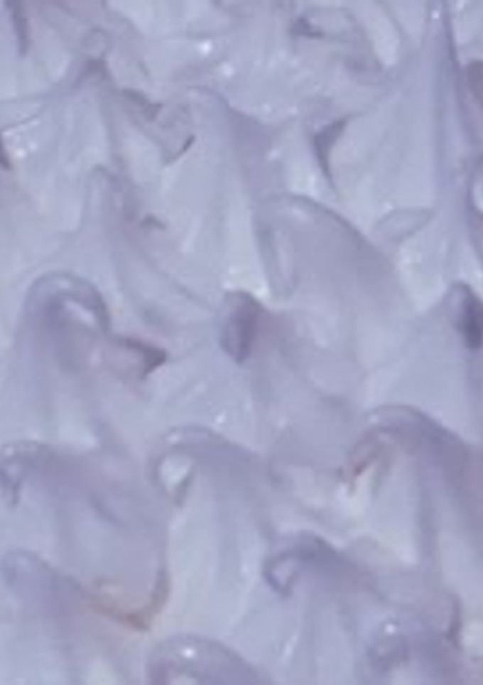 Una foto de Merengue italiano 🍚