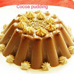 Cocoa pudding A picture of Cocoa pudding.