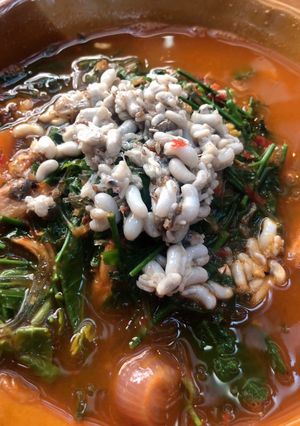 รูปของ แกงผักหวานวุ้นเส้นใส่ไข่มดแดงปลาย่าง