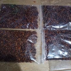 A picture of Black Chane boiled.