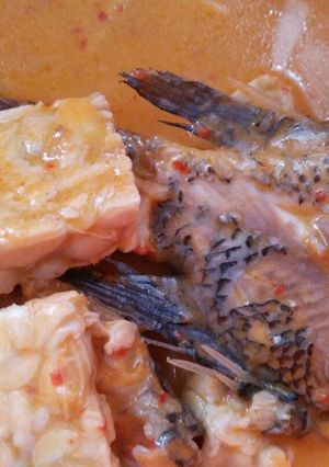 Foto resep Gulai santan ikan mujair