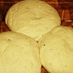 Tex's Pizza Dough 🍕 A picture of Tex's Pizza Dough 🍕.