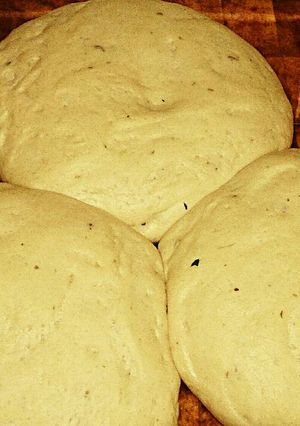 A picture of Tex's Pizza Dough 🍕.