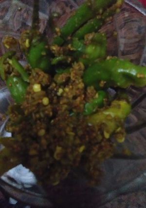 A picture of Mirch Ka Achar.