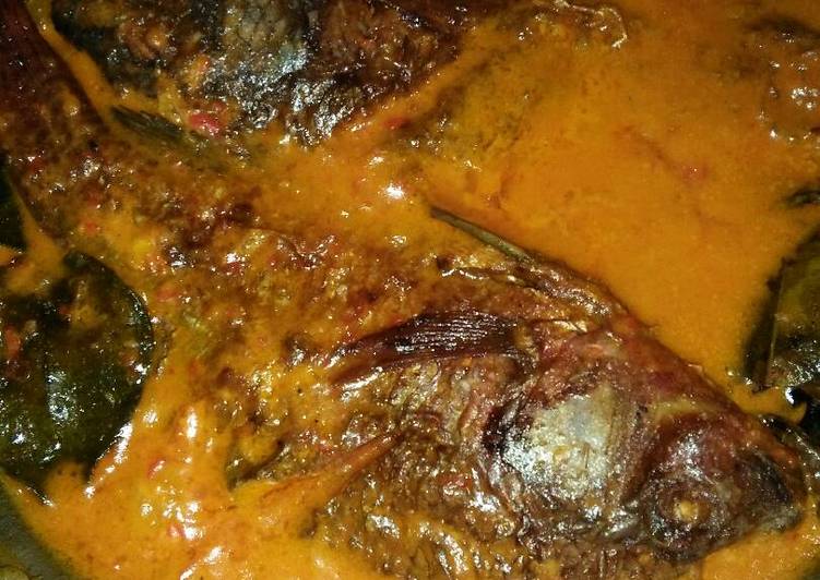 Resep Mujair kuah santan kental Lezat