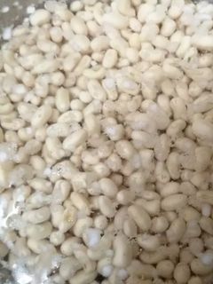 صورة لوصفة لوبيا ناشفة 🫘 وبطاطس 🥔