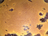 Pastel de arándanos