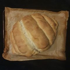 A picture of Bloomer.