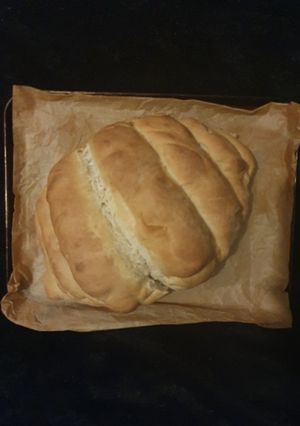 A picture of Bloomer.