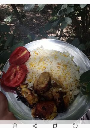 عکسی از دستور جوجه کباب در طبیعت