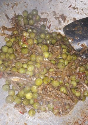 Foto resep Sambel goreng teri dan terong pipit (pokak)