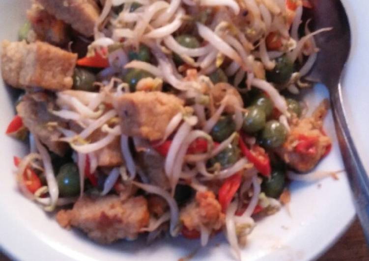 Resep Tumis oncom lenca yang Lezat Sekali