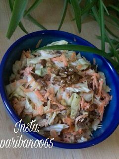 عکسی از دستور سالاد کلم و گردو