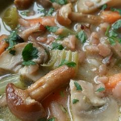 Vickys Creamy Mushroom & Wild Rice Soup, GF DF EF SF NF A picture of Vickys Creamy Mushroom & Wild Rice Soup, GF DF EF SF NF.
