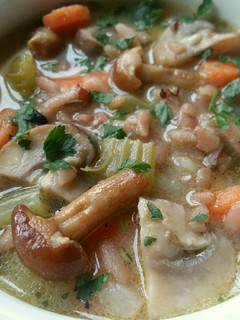 A picture of Vickys Creamy Mushroom & Wild Rice Soup, GF DF EF SF NF.