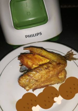 Foto resep Ayam kampung ungkep