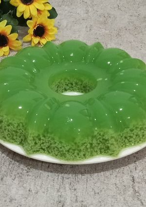 Foto resep Puding Lumut Sat Set