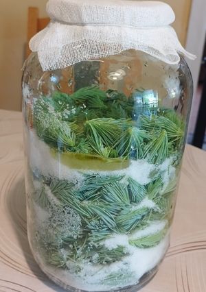 Fenyőrügy szirup recept fotója