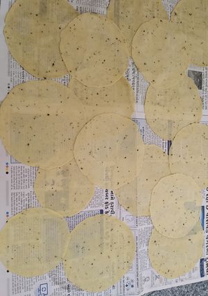 અડદ ના પાપડ (single mari) (Adad Papad Recipe In Gujarati) રેસીપી મુખ્ય ફોટો