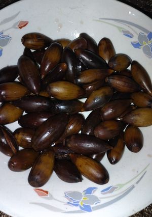 صورة لوصفة كستناء (البلوط)