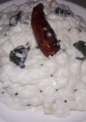 A picture of Dahi bhaat tadke ke saath.