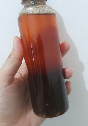Foto resep Minyak udang