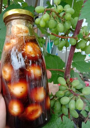 Foto resep Honey Garlic Fermented