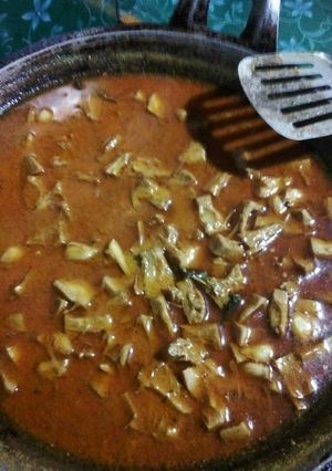 Foto resep Lodeh nangka muda ala bunda Rafi