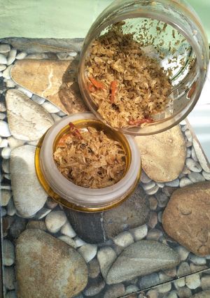 Foto resep Udang Rebon Goreng kering