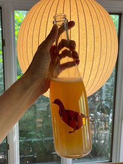 Foto de Sumo de Laranja e Limão