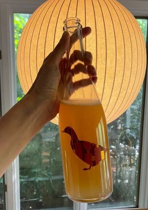 Foto de Sumo de Laranja e Limão