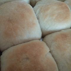 A picture of Pav.