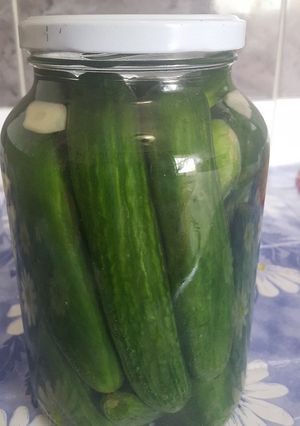 صورة لوصفة كبيس خيار