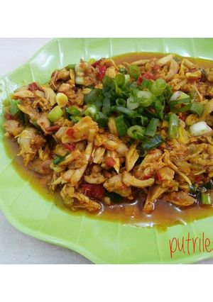 Foto resep Tumis Ayam Suwir 🍲🍗🐣