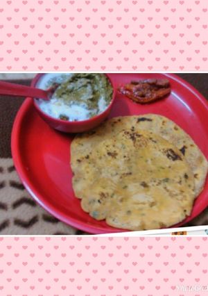 A picture of Jowar ki stuff Roti.