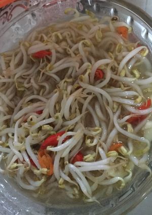 Foto resep Cah taoge