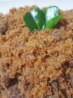 Foto resep Dendeng Ragi
