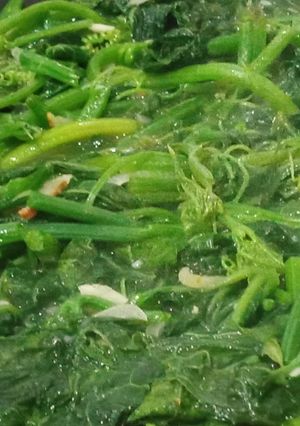 Foto resep Tumis daun labu kencur gurih bumbu iris