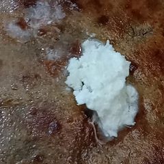 A picture of Missi Roti.