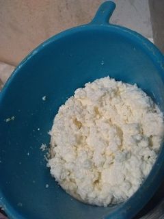 Una foto de Quesito crema