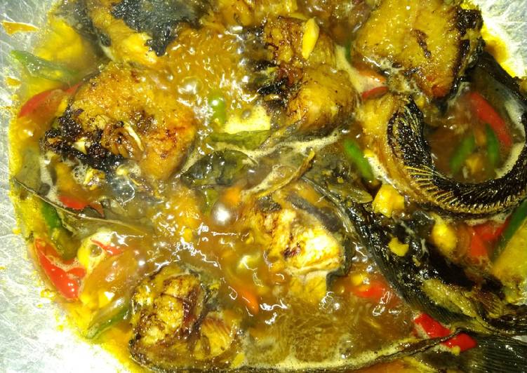 Lele kecap abang ijo