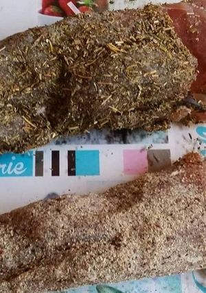 Une photo de Filets Mignon de Porc séché