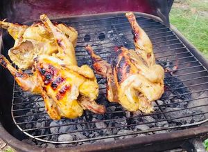 Una foto de Gallinas doradas sin quemarse