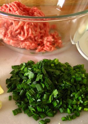 A picture of Easy Homemade ★Gyoza Filling★.