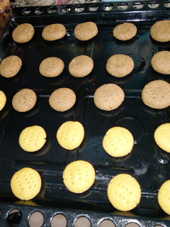 A picture of No flour cookies.