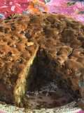 Torta Galesa