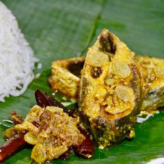 A picture of Ilish Malai Roast.