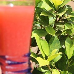 A picture of Guava juice.
